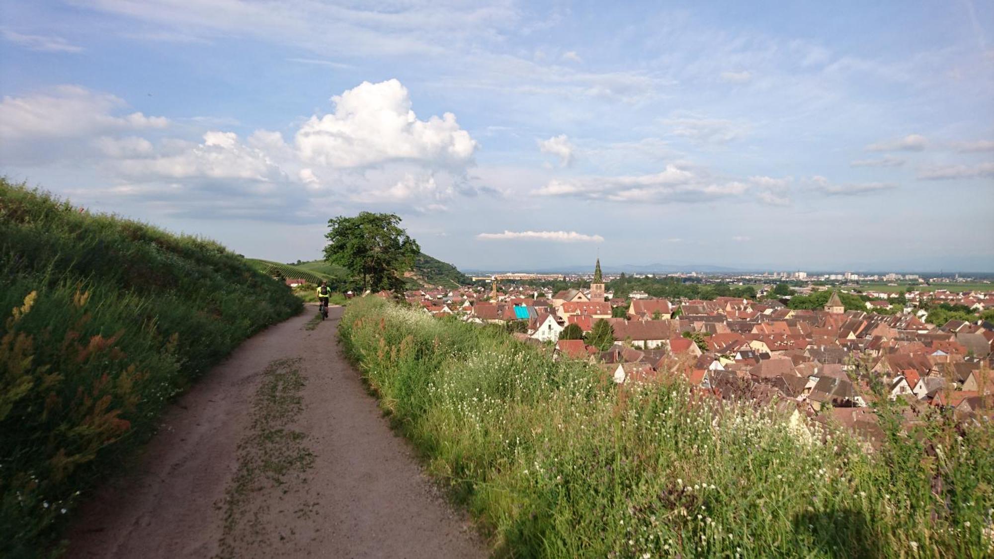Entre Ville Et Vignes - Gite Classe 3 Etoiles Ingersheim Ngoại thất bức ảnh